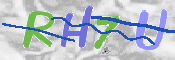 キャプチャ画像