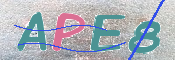 キャプチャ画像