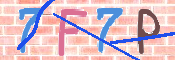 キャプチャ画像