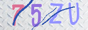 キャプチャ画像