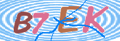 キャプチャ画像