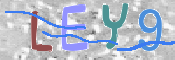 キャプチャ画像