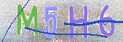 キャプチャ画像