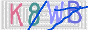 キャプチャ画像