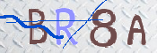 キャプチャ画像