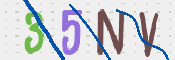 キャプチャ画像