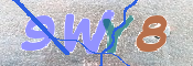 キャプチャ画像