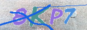 キャプチャ画像