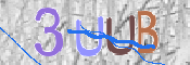 キャプチャ画像