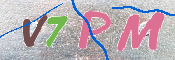 キャプチャ画像