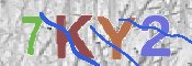 キャプチャ画像