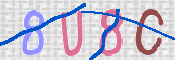 キャプチャ画像