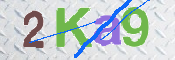 キャプチャ画像