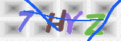 キャプチャ画像