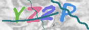 キャプチャ画像