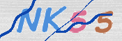 キャプチャ画像