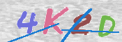 キャプチャ画像