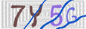 キャプチャ画像