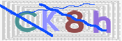 キャプチャ画像