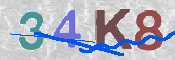 キャプチャ画像