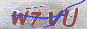 キャプチャ画像