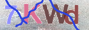 キャプチャ画像