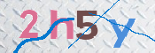 キャプチャ画像