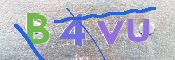 キャプチャ画像