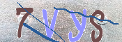 キャプチャ画像