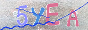 キャプチャ画像