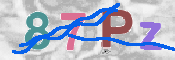 キャプチャ画像