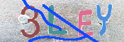 キャプチャ画像