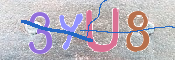 キャプチャ画像