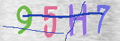 キャプチャ画像