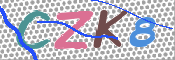 キャプチャ画像
