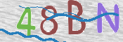 キャプチャ画像
