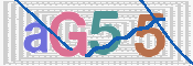 キャプチャ画像