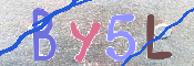 キャプチャ画像