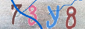 キャプチャ画像